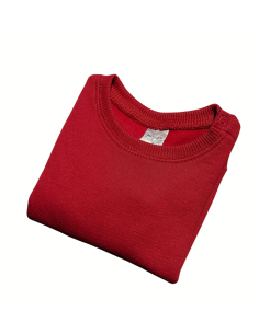 Polerón Sweater BB buzo moletom 100% algodón 2